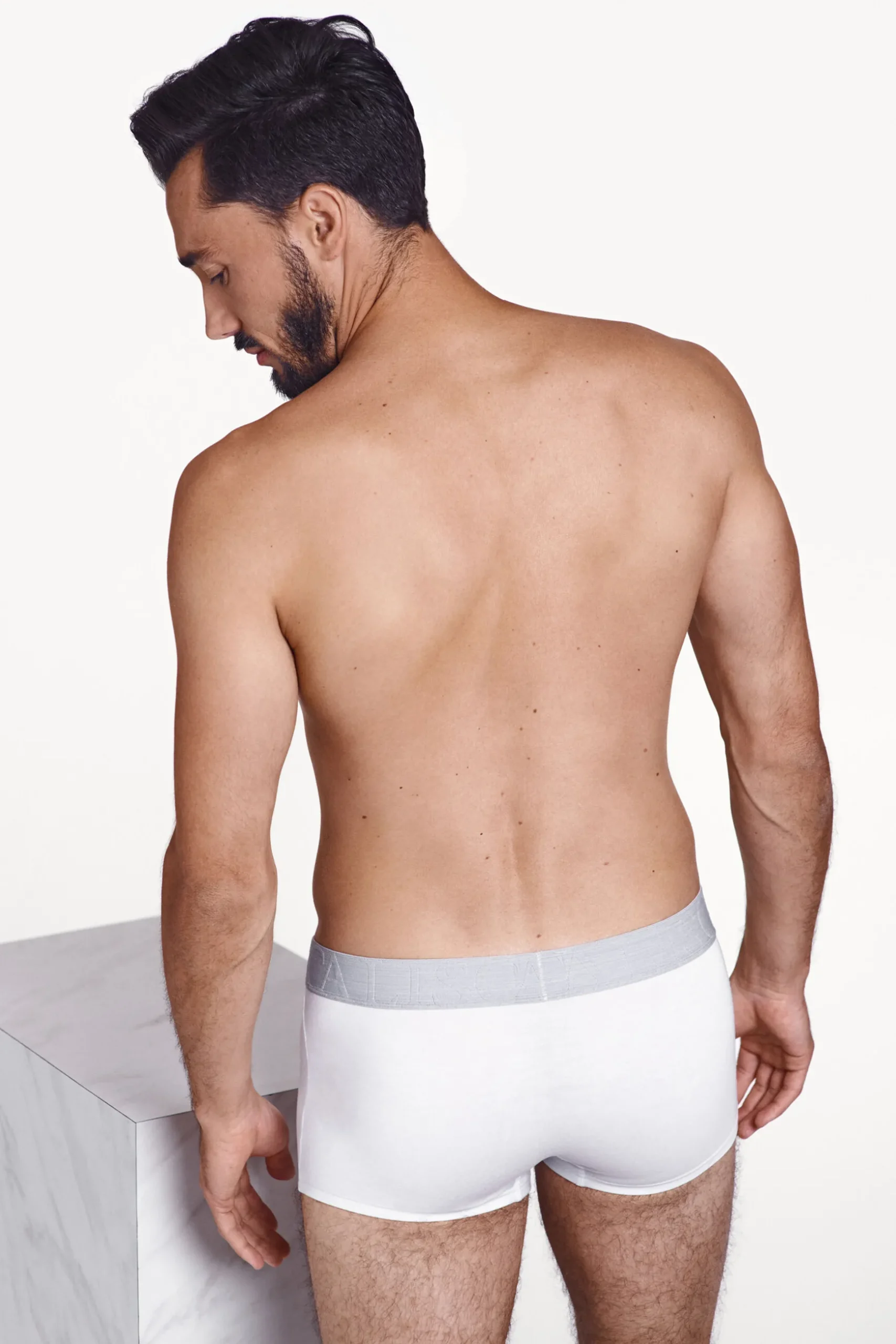 boxer_1-1.webp Boxer