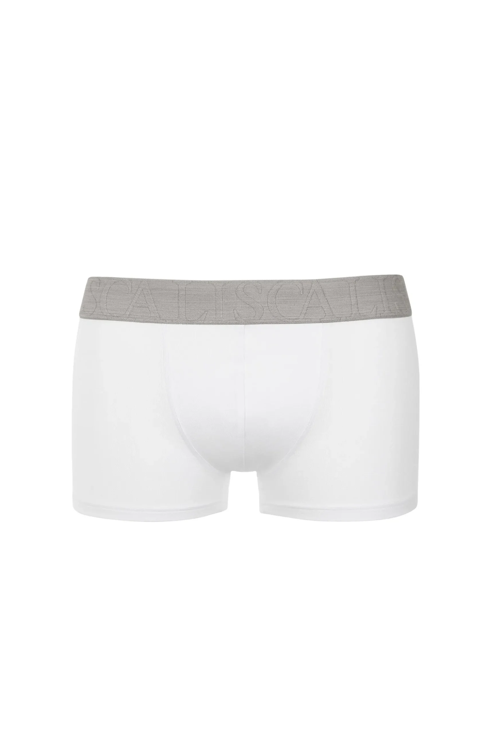 boxer_2-1.webp Boxer